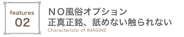 風俗オプションのないイマジン名古屋