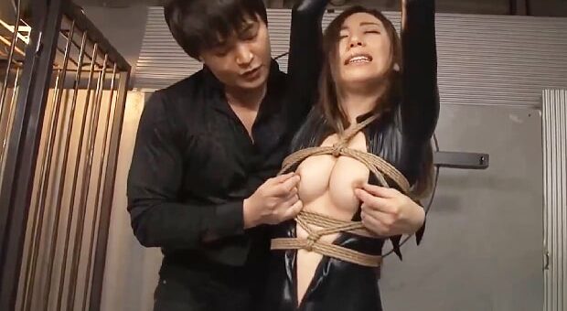 犯される美人捜査官