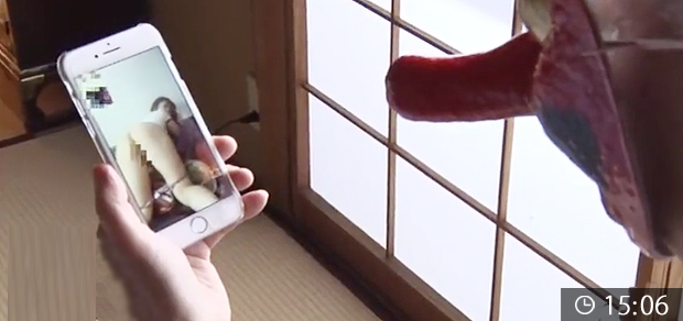 義父とエロチャットする人妻